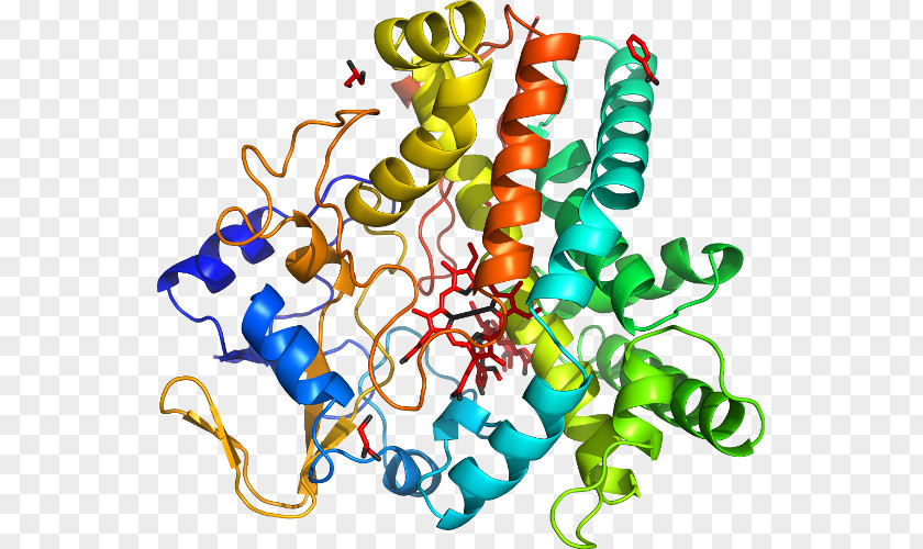 Vesicular Stomatitis Virus Crystal Structure Cruzipaína Crystallography Ligand PNG