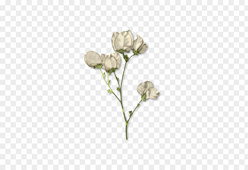 White Rose TinyPic Clip Art PNG
