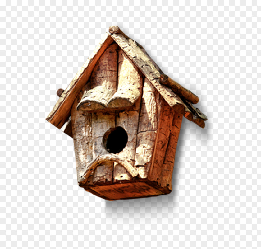 Wooden Nest Material Bird Animation PNG