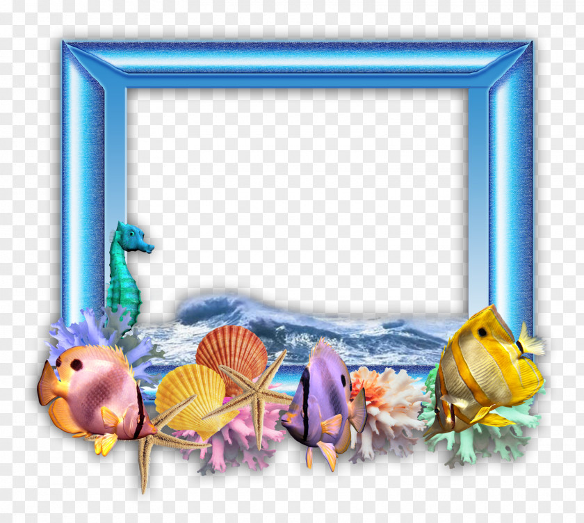 Chao Mai National Park Text Picture Frames Paper Clip Art PNG