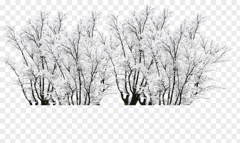 Creative Design Aesthetic In The Winter Snow Creativity PNG