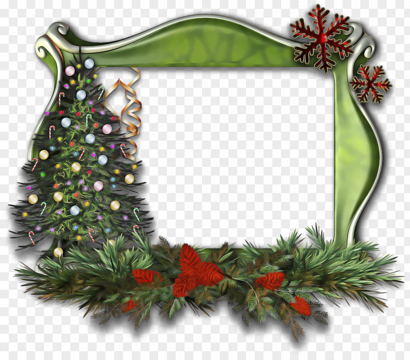 Flower Twig Christmas Picture Frame PNG