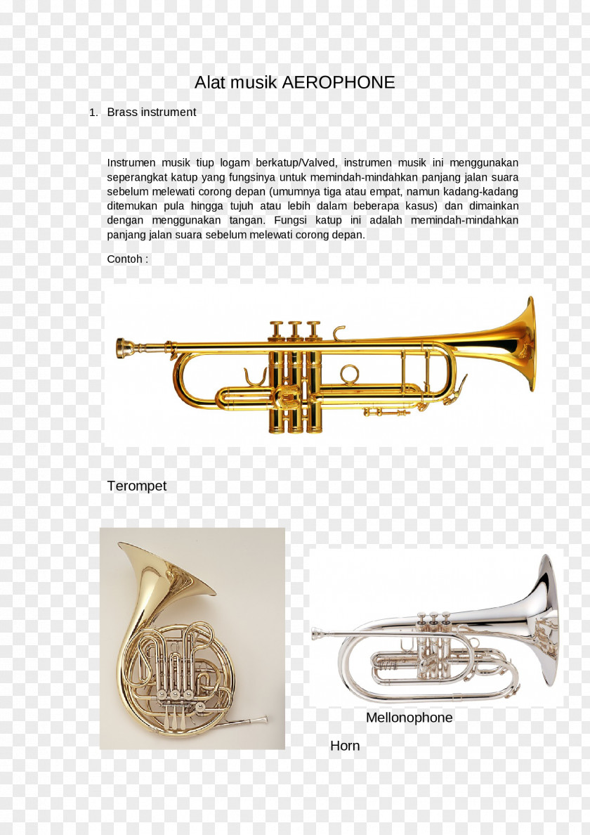 Trumpet Brass Instruments Musical Wind Instrument PNG