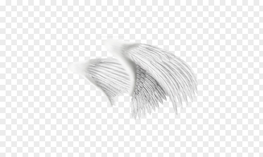 White Painted Wings Creative Black Pattern PNG
