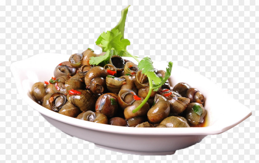 Celery Fried Snails Clam Food Dish Stir Frying Beefsteakplant PNG