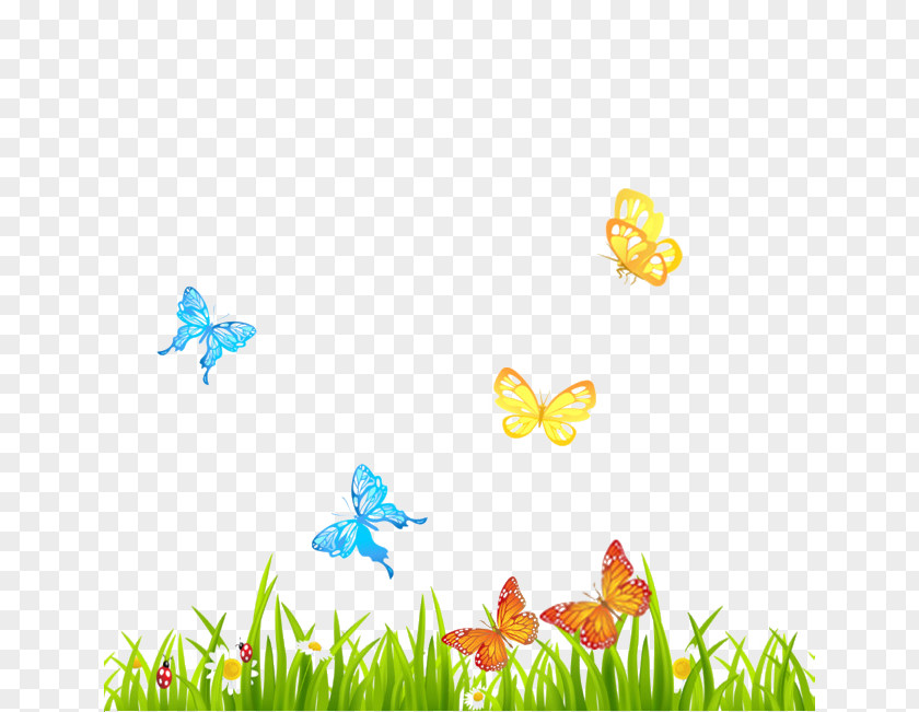 Flowers And Plants Butterfly Adobe Photoshop Image PNG