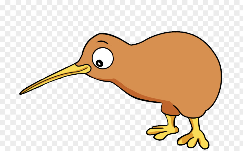 Kiwi Bird Cartoon Drawing Clip Art PNG