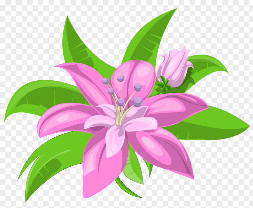 Pink Floral Flowers Drawing Clip Art PNG