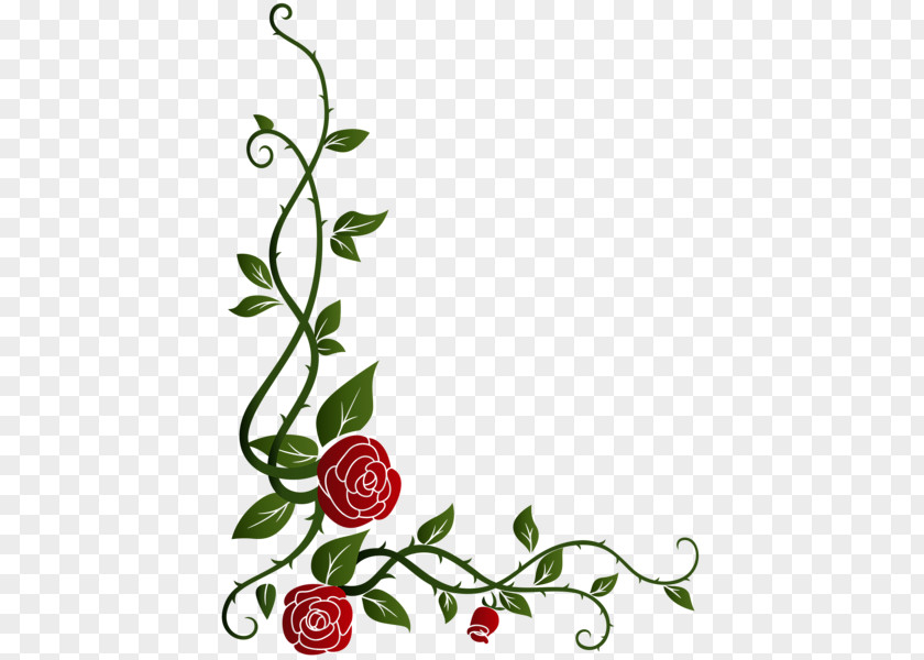 Rose Ornament Garden Roses Floral Design Cut Flowers Clip Art PNG