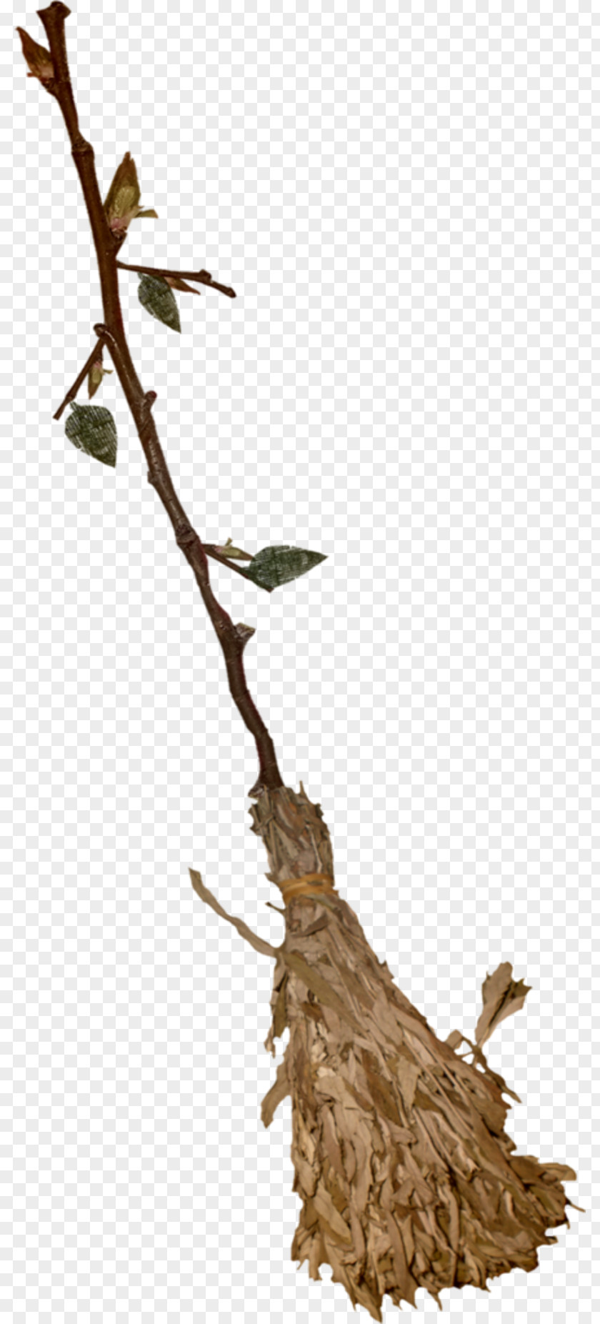 Witch Witch's Broom Besom PNG