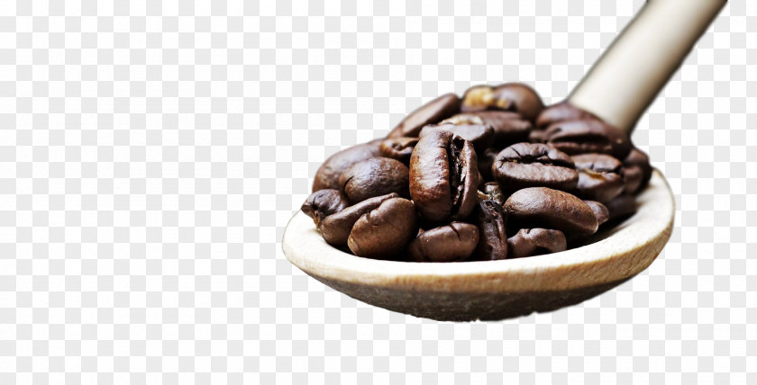 Bean Java Coffee Chocolate PNG