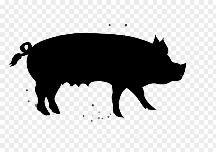 Bovine Livestock Pig Cartoon PNG