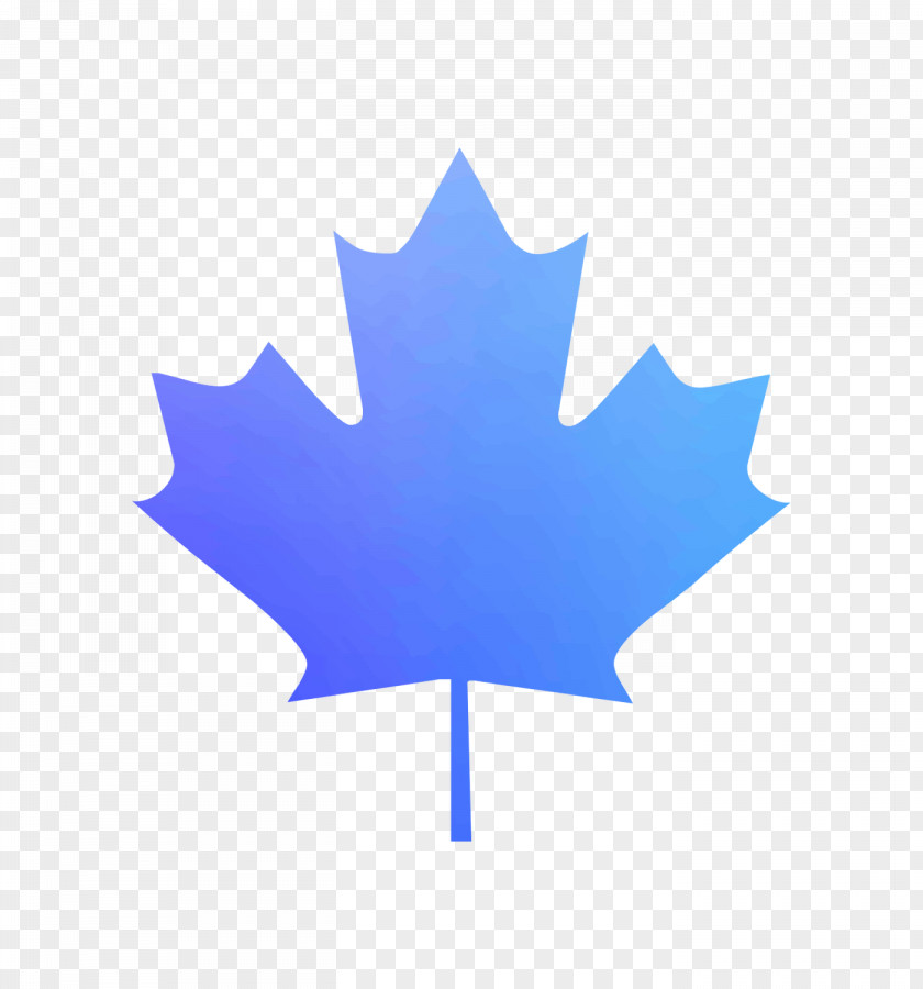 Flag Of Canada Royalty-free Stock Illustration PNG
