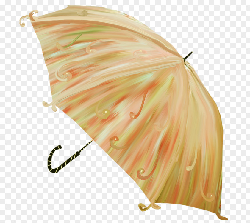 Handpainted Umbrellas Umbrella Photography Picture Frames Clip Art PNG