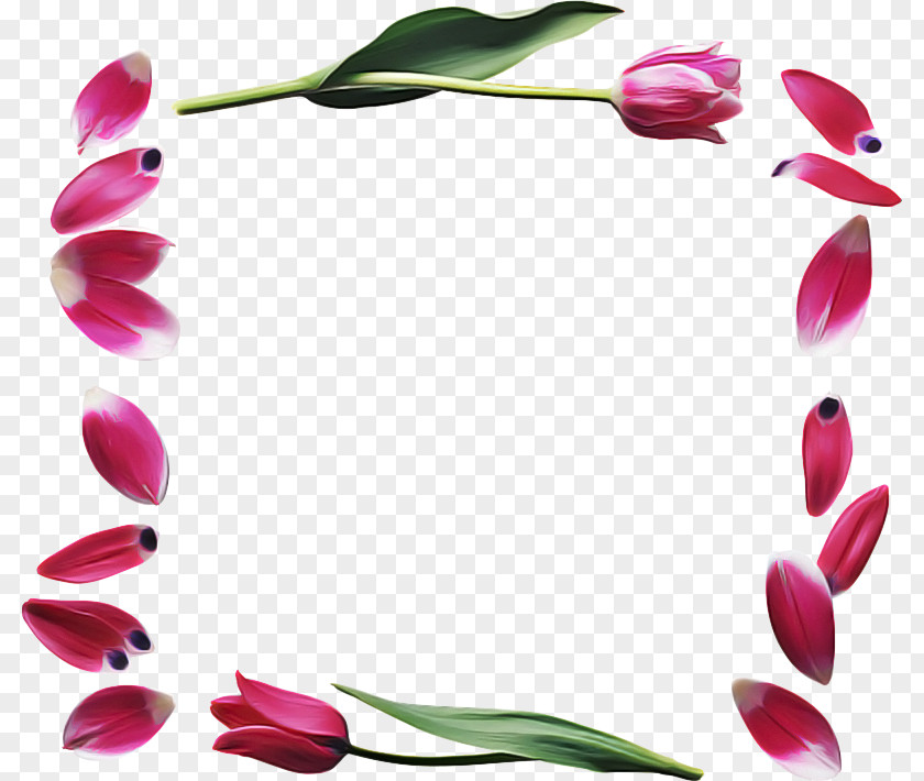 Pedicel Plant Floral Design PNG