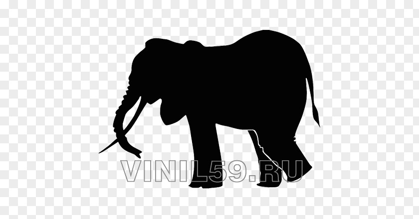 Silhouette Drawing Indian Elephant PNG