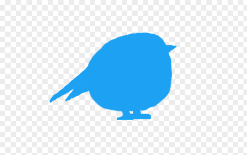 Barack Mockup Beak Twitter Bird News Avatar PNG