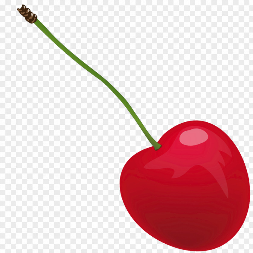 Cherry Kirsch Clip Art PNG