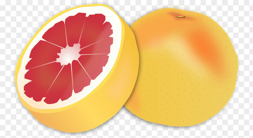 Grapefruit Orangelo Clip Art PNG