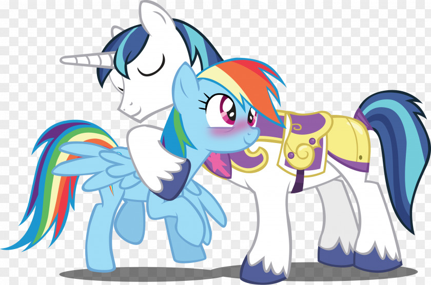 Rainbow Dash Pinkie Pie Twilight Sparkle Rarity Pony PNG