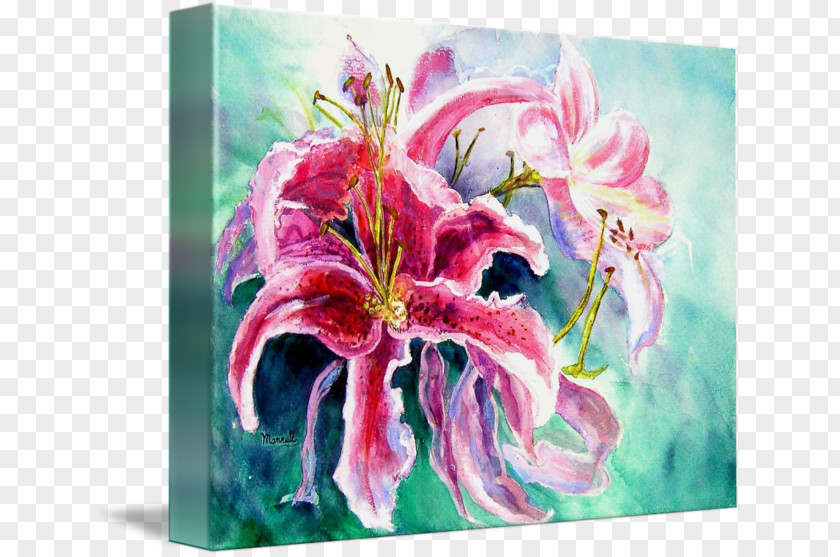 Stargazer Lily Floral Design Lilium 'Stargazer' Flower Painting PNG