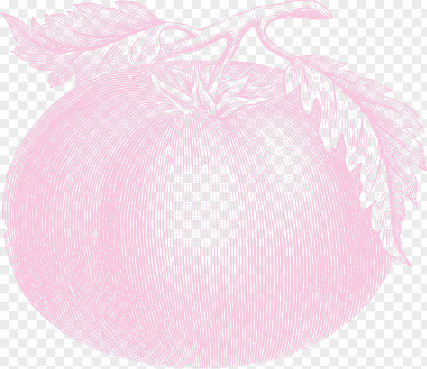 Vegetable PNG