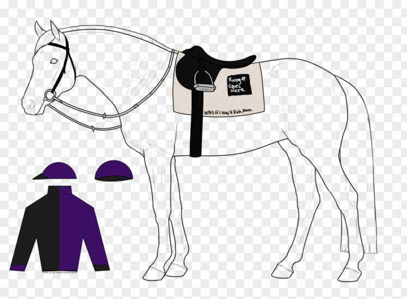 Angry Man Pony Mustang Bridle Pack Animal Mane PNG