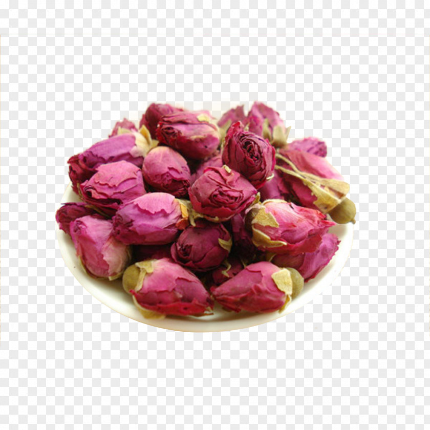 Dry Rose Tea Flowering Beach PNG