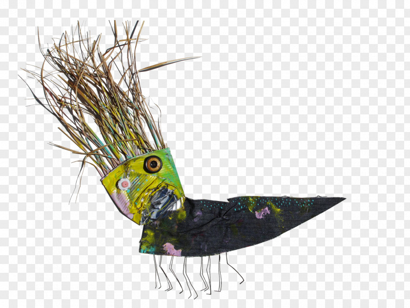 Feather Beak Tail PNG