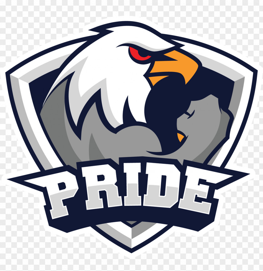Pride Counter-Strike: Global Offensive League Of Legends Dota 2 ESL Pro PNG