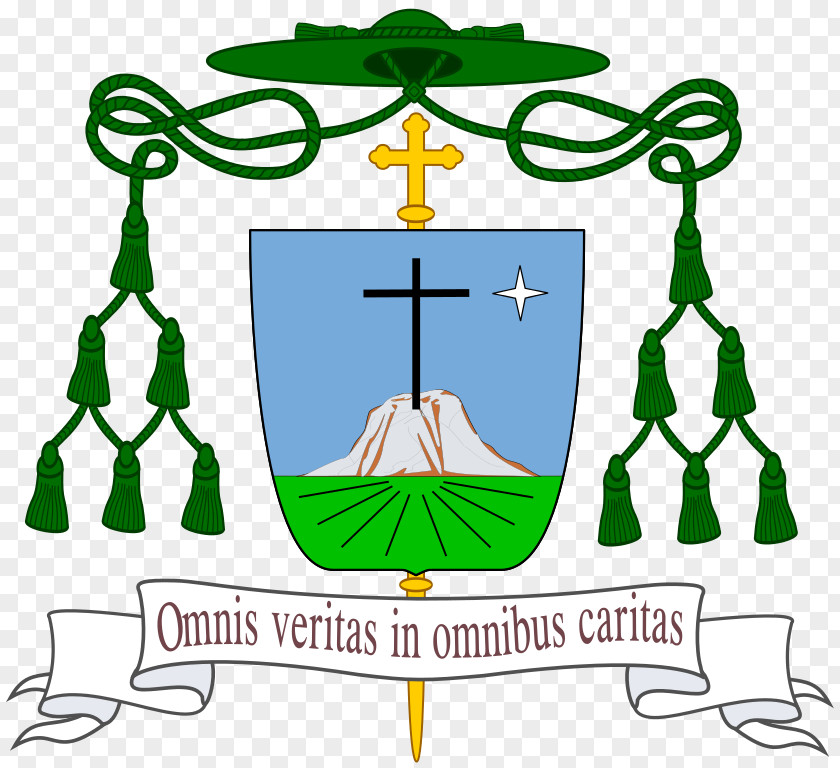 Medina Roman Catholic Archdiocese Of Lecce Diocese Orange Kharkiv-Zaporizhia Salta Sacred Heart Parish Kamuning PNG