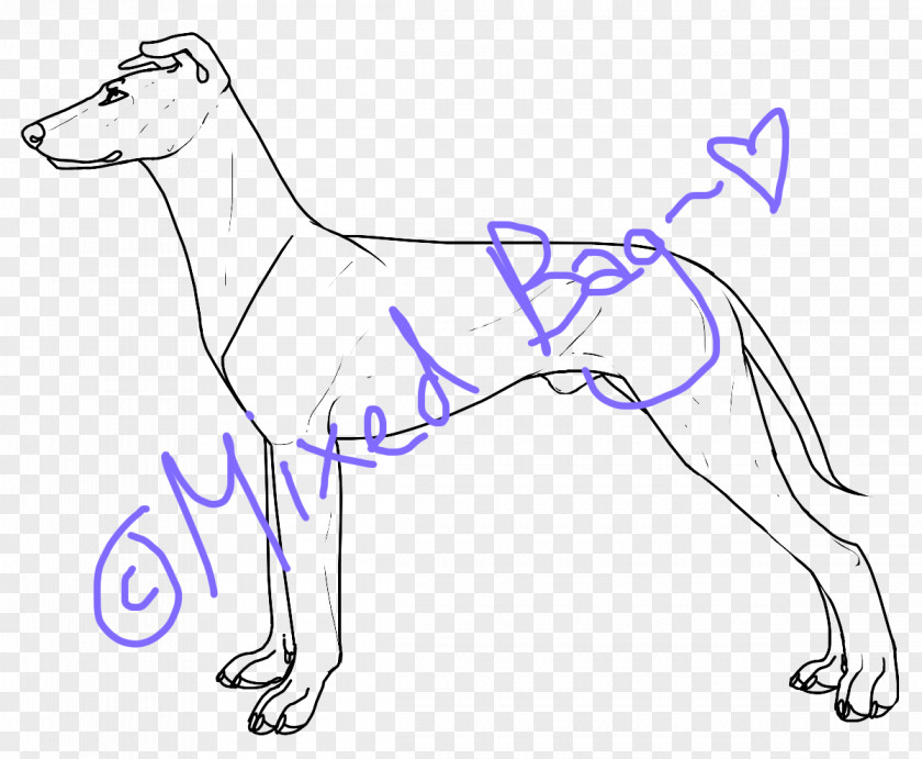 Mexican Skull Dog Breed Line Art Drawing /m/02csf PNG