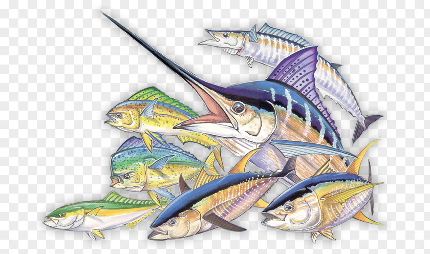Ocean Fishing Rods Travel Illustration Fauna Cartoon Fish PNG