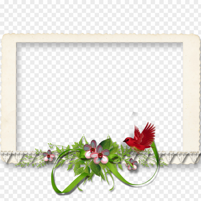 Picture Frames Qaraghandy Kiev Photography PNG