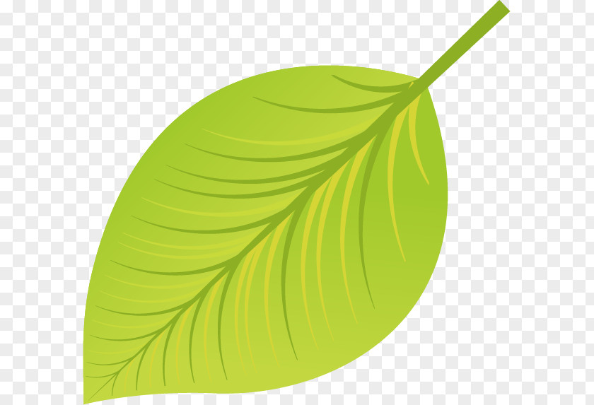 Yellow Green Leaves Vector Material Free Dig Leaf Euclidean PNG