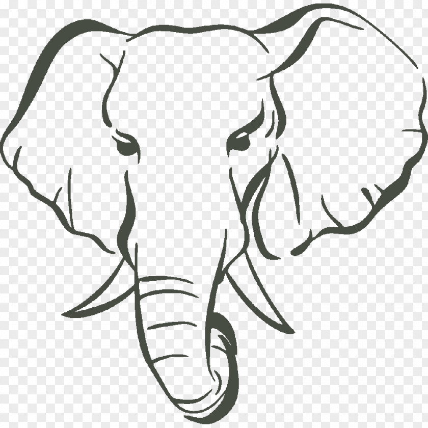 Elephant Drawing Asian African Bush Elephants Clip Art PNG