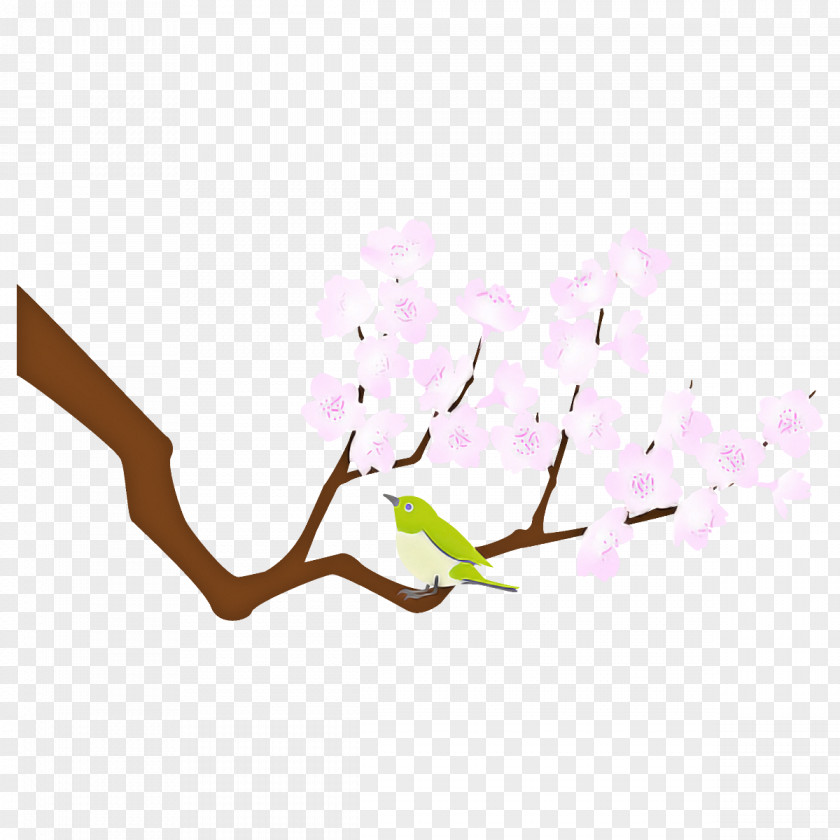Plant Stem Tree Branch Twig Lilac Flower PNG