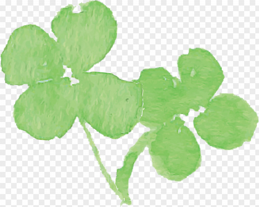 Shamrock PNG