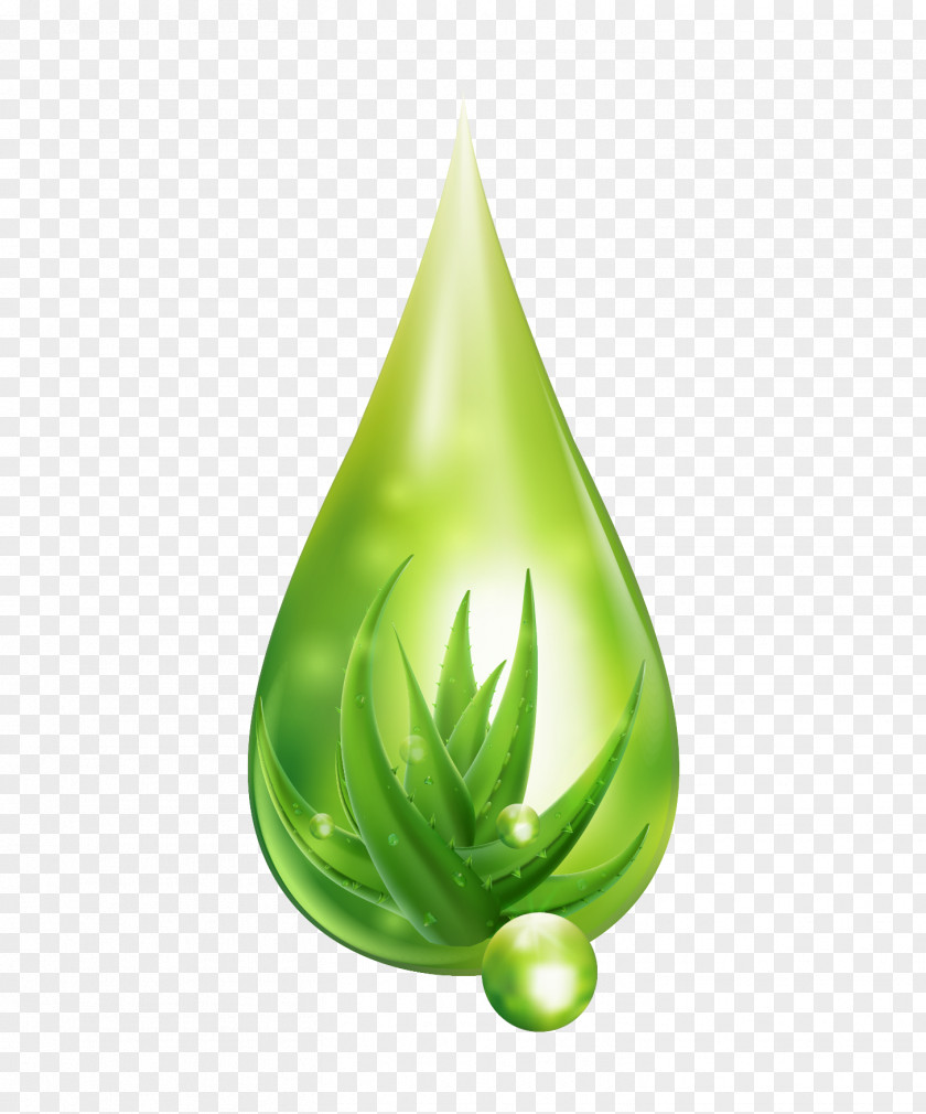 Aloe In Water Drops PNG