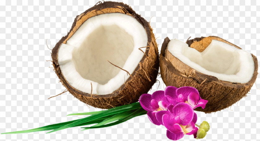 Coconut Water Stock Photography Royalty-free PNG