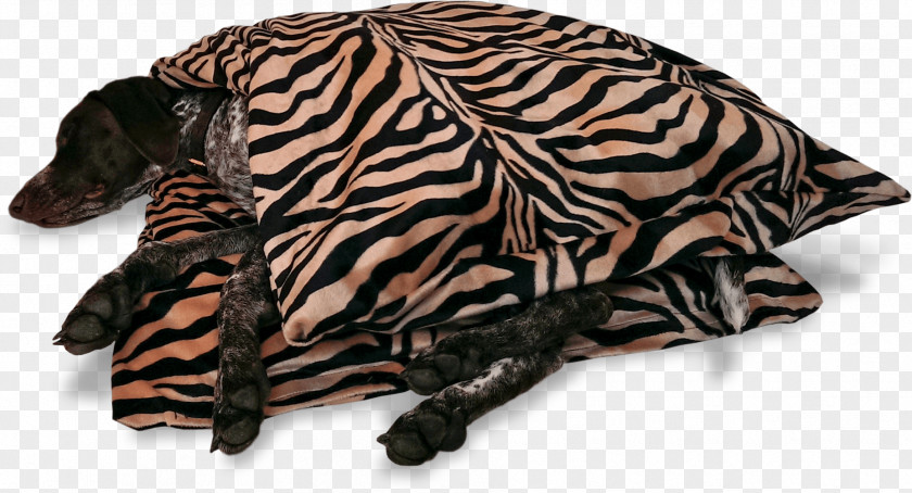 Dog Duvet Carnivores Wildebeest Fur PNG