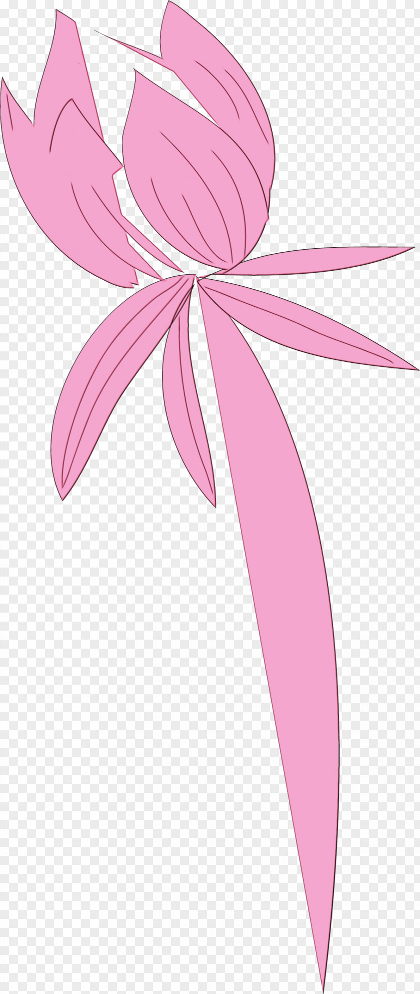Pink M Fairy Line Flower Plants PNG