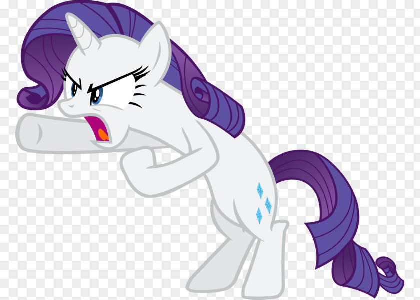 Rarity Pony Rainbow Dash Applejack Spike Derpy Hooves PNG