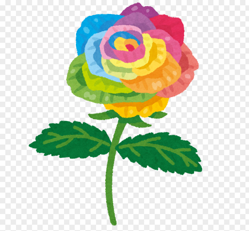 Rose Rainbow Color Flower PNG