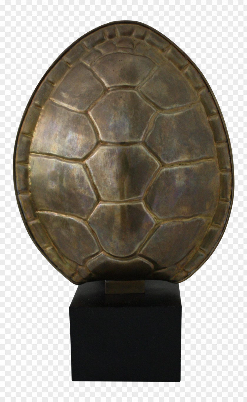 Tortoise Brown PNG