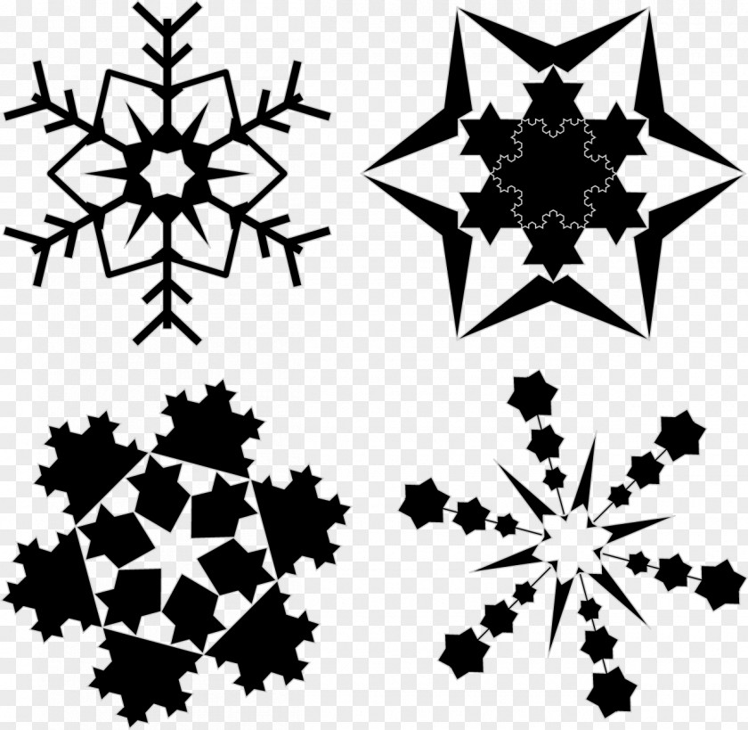 Vector Snowflakes Snowflake Photography Clip Art PNG