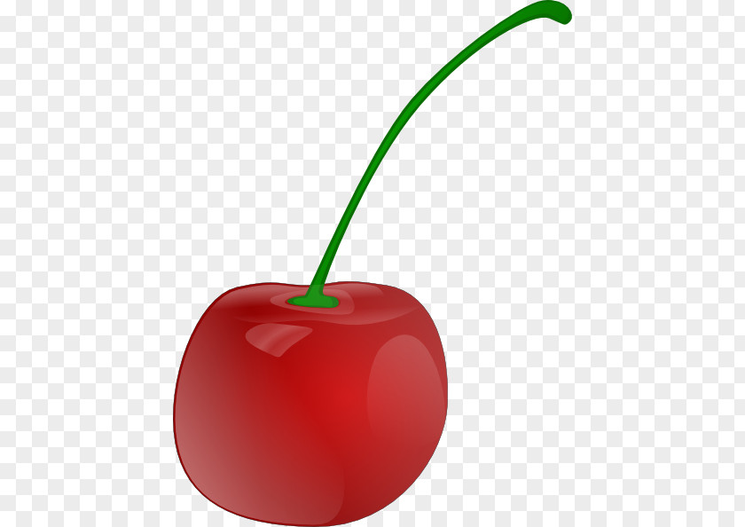 Cherry Tomato Cherries Jubilee Fruit PNG