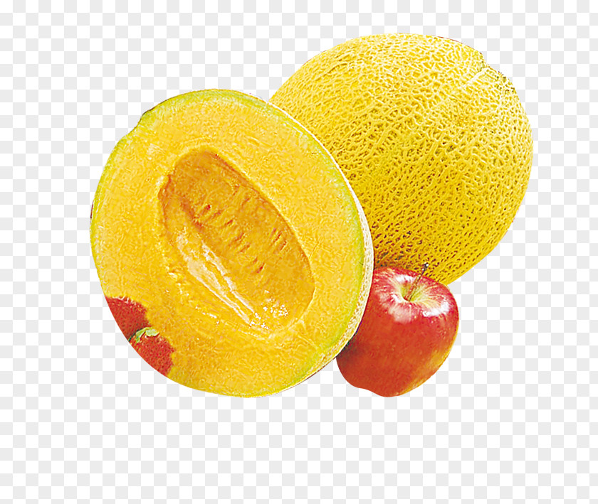 Melon Fruit Lemon Orange Cantaloupe PNG