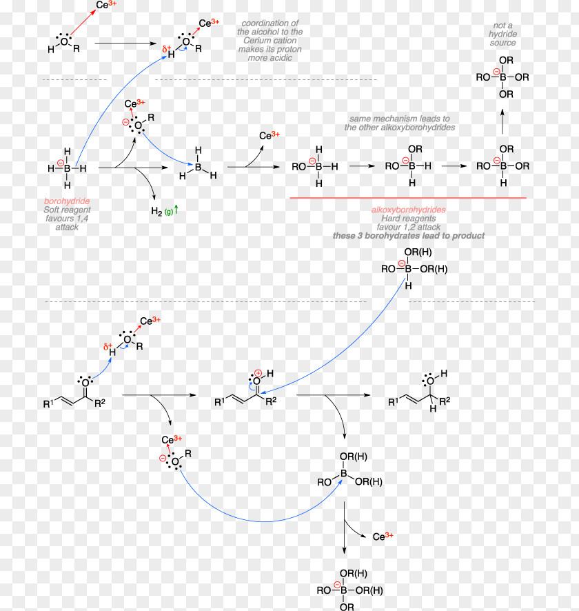 Menthone Luche Reduction Sodium Borohydride Birch Cerium(III) Chloride Reaction Mechanism PNG