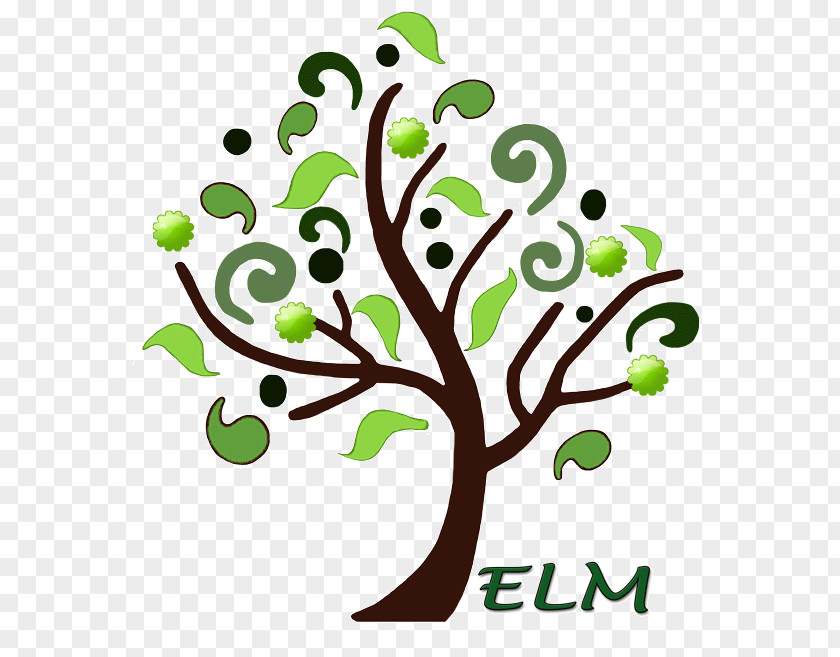 Tree Branch Elm Drawing Clip Art PNG
